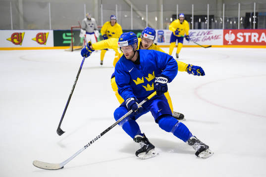 Alexander Nylander and Jacob de la Rose of Sweden at a