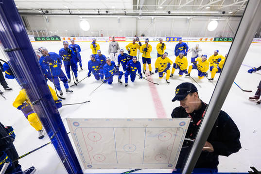 Head coach Sam Hallam of Sweden giving instructions at a