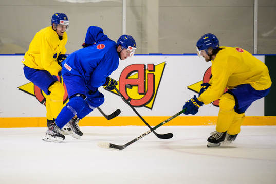 Jakob Silfverberg, Lucas Raymond and Linus Johansson of