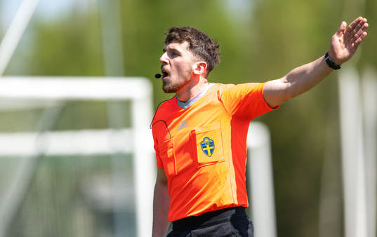 domare Zilhad Zigovic