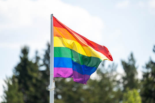 En prideflagga