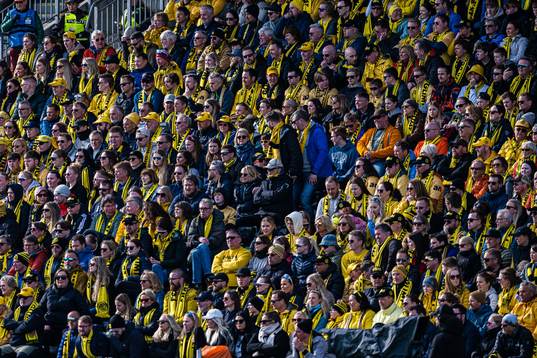 Spectators in the stands