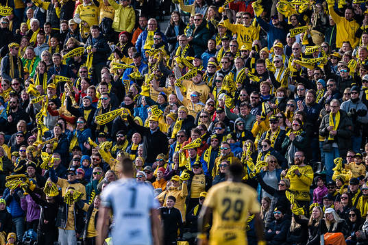 Spectators in the stands