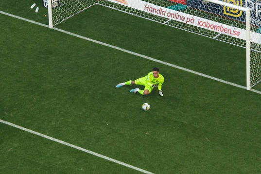Hammarbys målvakt Oliver Dovin