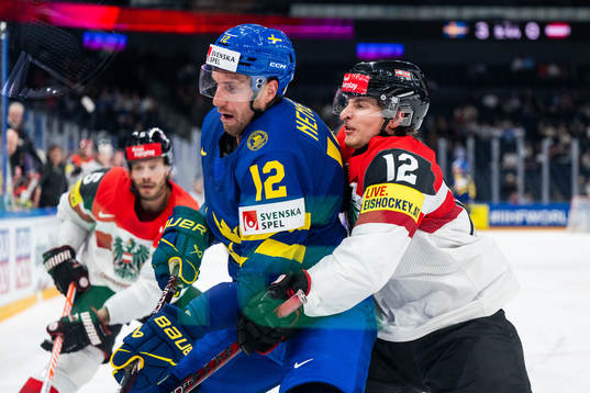 Patrik Nemeth of Sweden and David Maier of Austria