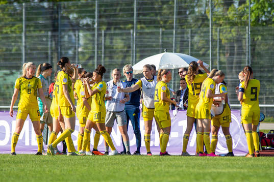 Players of Sweden