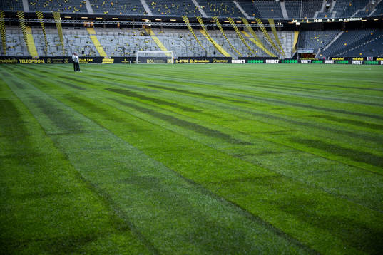 Gräsmattan på Friends Arena