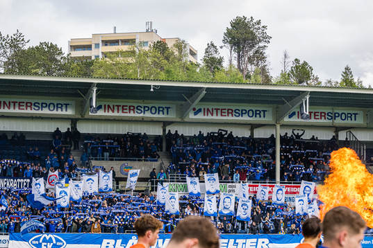 Spectators in the stands