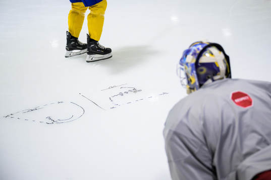 Instructions for players of Sweden written