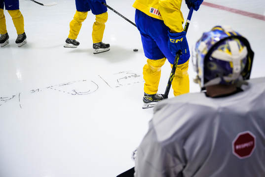 Instructions for players of Sweden written