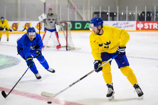 Jacob de la Rose and Alexander Nylander of Sweden at a