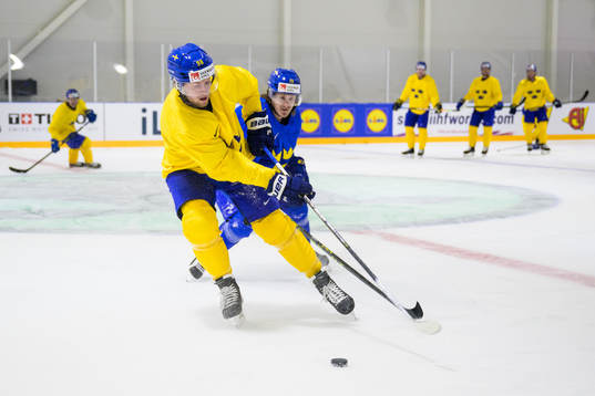 Alexander Nylander and Marcus Sörensen of Sweden at a