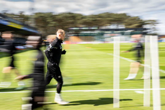 David Löfquist