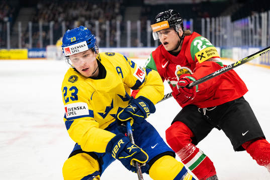 Lucas Raymond of Sweden and Zeteny Hadobas of Hungary
