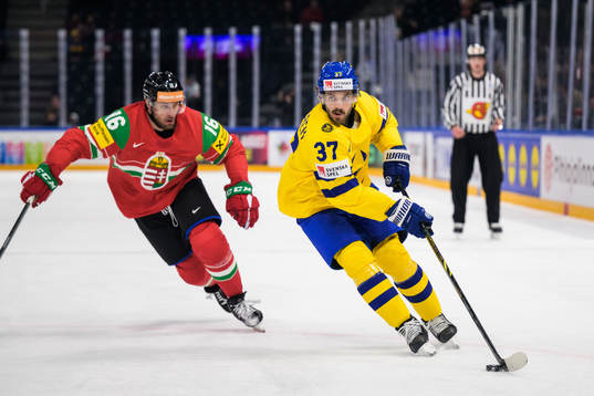 Daniel Koger of Hungary and Timothy Liljegren of Sweden