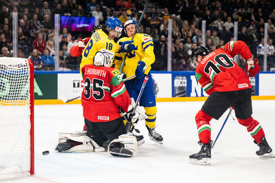 Dennis Everberg and Fabian Zetterlund of Sweden against