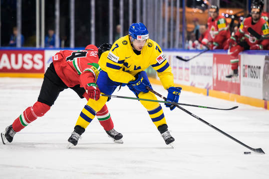 Balazs Sebok of Hungary and Henrik Tömmernes of Sweden
