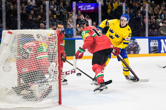 Goaltender Dominik Horvath, Krisztian Nagy and Roland Kiss