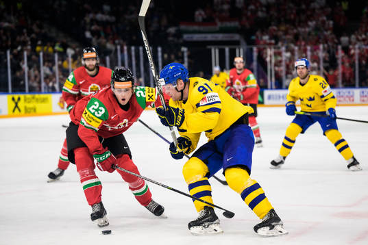 Zeteny Hadobas of Hungary and Carl Grundström of Sweden