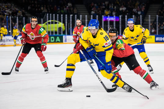 Dennis Everberg of Sweden and Milan Horvath of Hungary