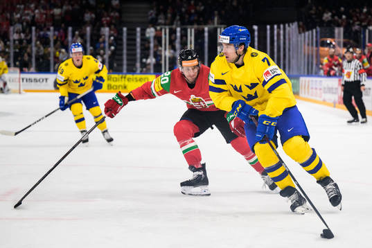 Istvan Sofron of Hungary and Henrik Tömmernes of Sweden