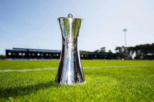 Svenska cupen-pokalen