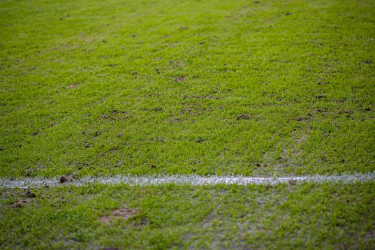 Quality of the grass at Ullevaal Stadion