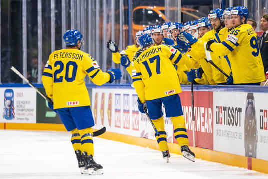 André Petersson and Pär Lindholm of Sweden celebrate with