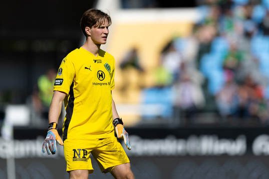 Jönköpings Södras målvakt David Celic