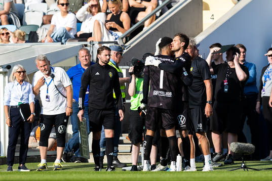 Hammarbys målvakt Oliver Dovin och målvakt Davor Blazevic
