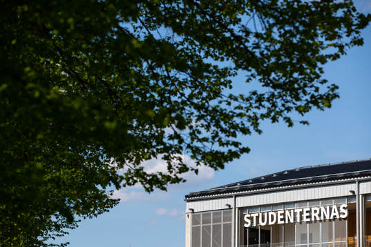 Studenternas