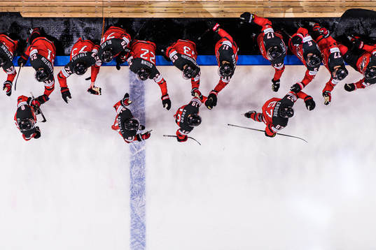Cody Glass, Adam Fantilli, Peyton Krebs and Lawson Crouse