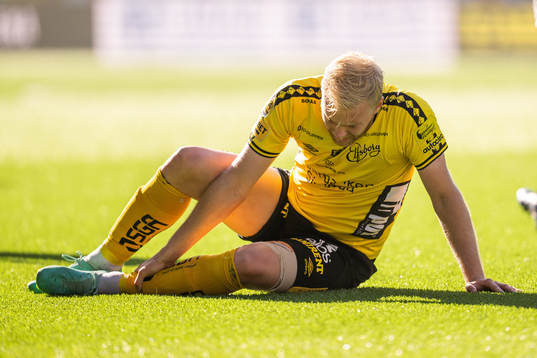 Elfsborgs Sveinn Guðjohnsen har ont