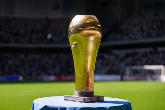 Susanne Erlandssons pokal