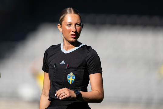 Domare Heidi Pagels