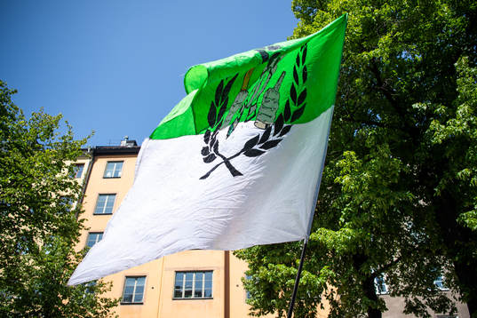 Hammarbys supportrar