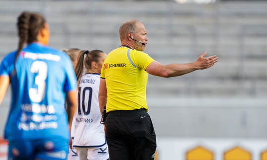 Domare Niklas Olsson