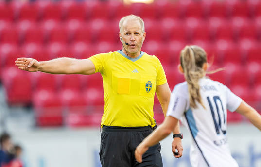 Domare Niklas Olsson