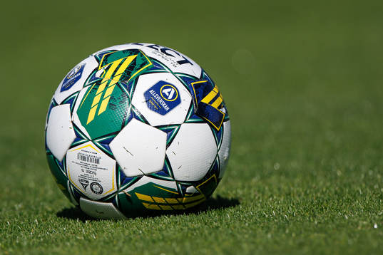 En fotboll