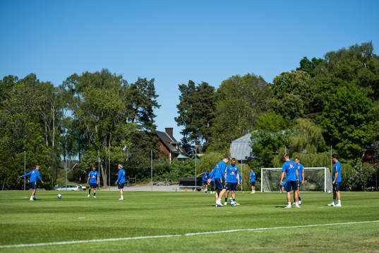 Players of the Swedish national football team