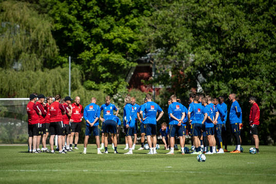 Players of the Swedish national football team