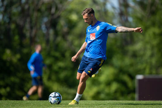 Linus Wahlqvist Egnell of the Swedish national football team
