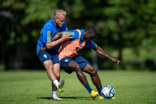 Daniel Sundgren and Ken Sema of the Swedish national