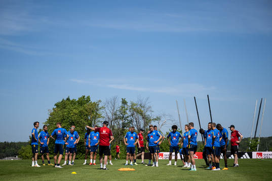 Players of the Swedish national football team