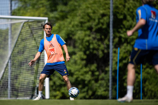 Hjalmar Ekdal of the Swedish national football team