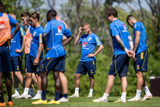 Daniel Sundgren of the Swedish national football team
