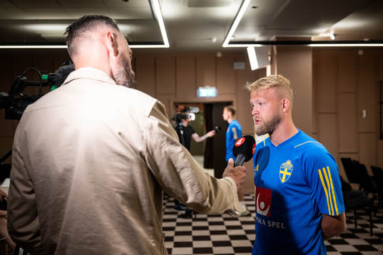Daniel Sundgren of the Swedish national football team