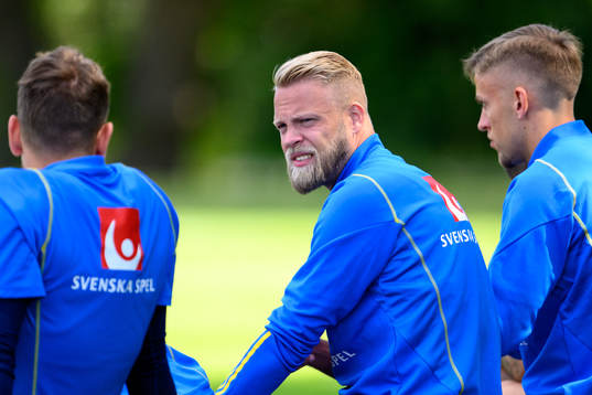 Daniel Sundgren of the Swedish national football team