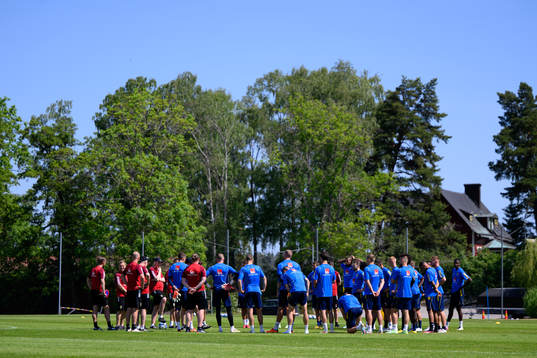 Players of the Swedish national football team