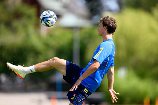 Hjalmar Ekdal of the Swedish national football team